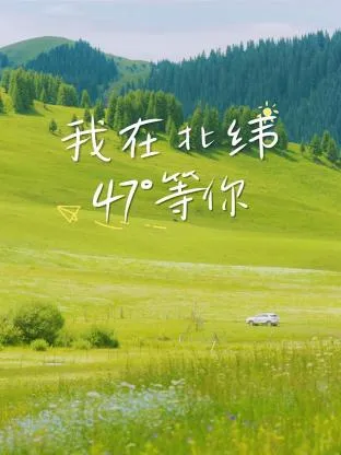 我在北纬47°等你