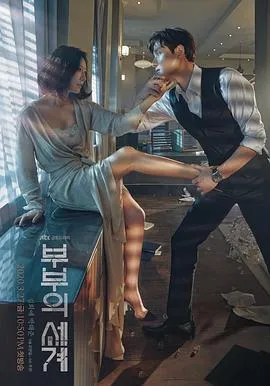 夫妻的世界在线观看