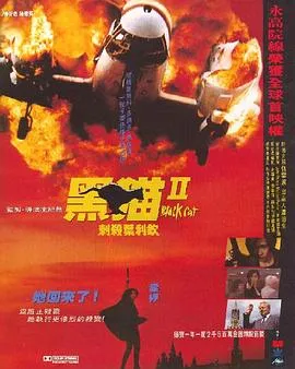 黑猫II:刺杀叶利钦粤语在线观看