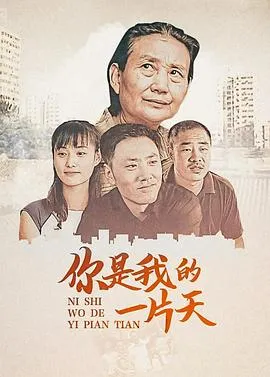 儿子2008[电影解说]封面