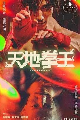 天地拳王[电影解说]封面