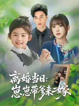 离婚当日崽崽带爹来二嫁在线观看