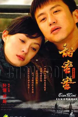 甜蜜蜜2007[电影解说]封面