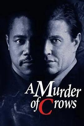 乌鸦谋杀案[电影解说]