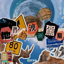 他们的澳洲驾期在线观看