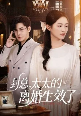 封总，太太的离婚生效了在线观看