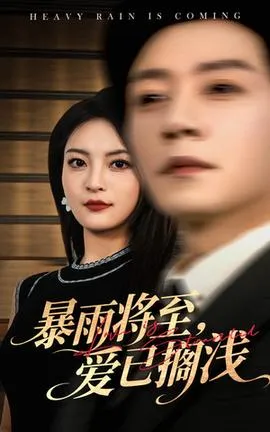 暴雨将至爱已搁浅在线观看
