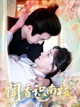 闻香识南枝在线观看
