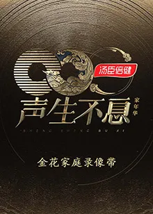 声生不息·家年华金花家庭录像带