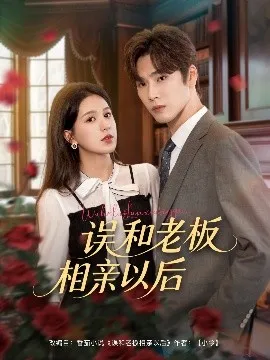 误和老板相亲以后在线观看