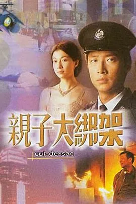 亲子大绑架粤语在线观看