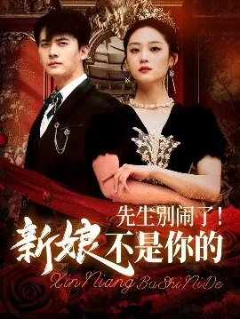 先生别闹了新娘不是你的在线观看