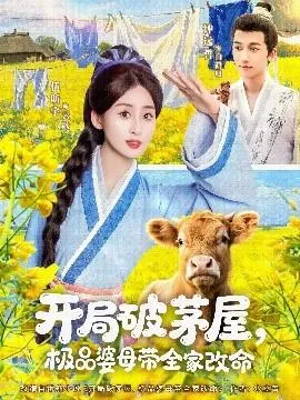 开局破茅屋极品婆母带全家改命在线观看
