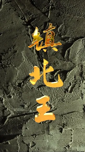 镇北王