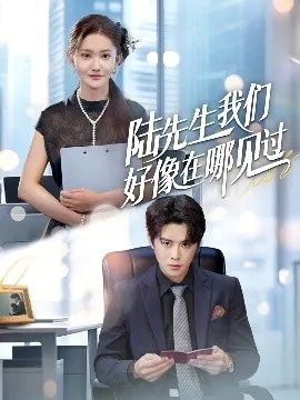 陆先生我们好像在哪见过在线观看
