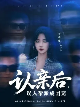 认亲后，误入帮派成团宠在线观看