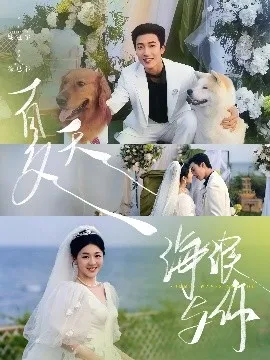 夏天，海浪与你在线观看