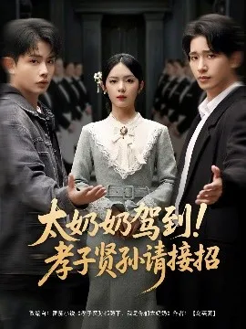 太奶奶驾到！孝子贤孙请接招在线观看