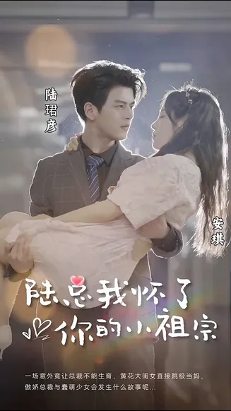 陆总，我怀了你的小祖宗