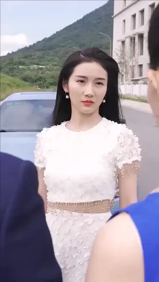 都市至尊豪婿