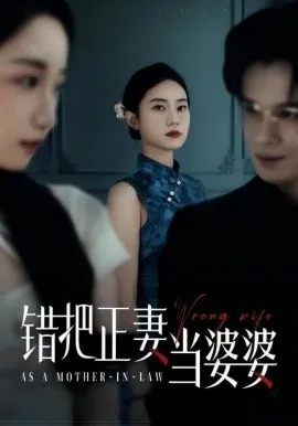 错把正妻当婆婆在线观看