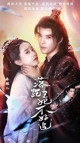 落跑王妃不好追