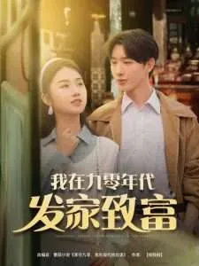 我在九零年代发家致富在线观看