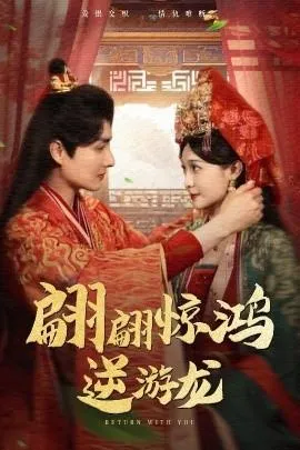 翩翩惊鸿逆游龙在线观看