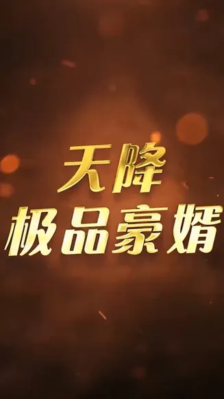 天降极品豪婿