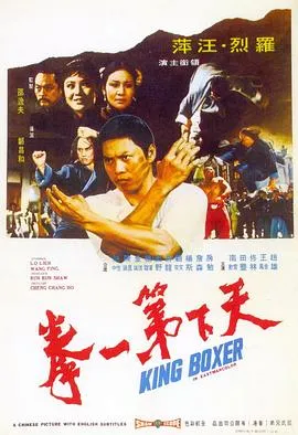 天下第一拳[电影解说]