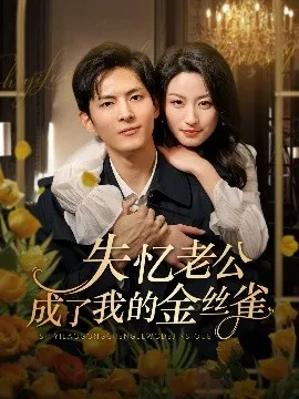 失忆老公成了我的金丝雀在线观看