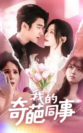 我的奇葩同事在线观看