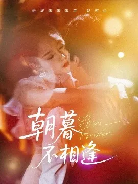 朝暮不相逢在线观看