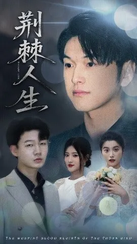 荆棘人生在线观看