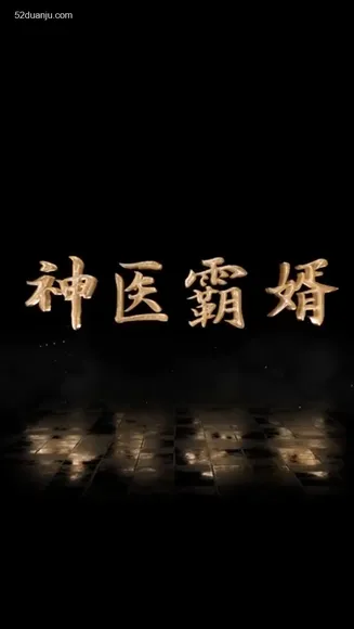 神医霸婿合集版