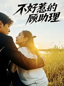 不好惹的顾助理在线观看