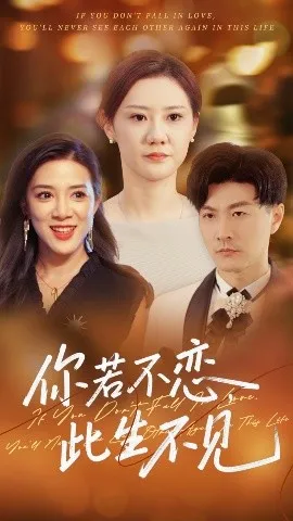 你若不恋此生不见在线观看