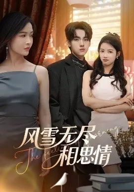 风雪无尽相思情在线观看