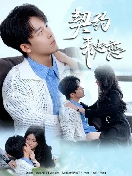 契约秘恋在线观看