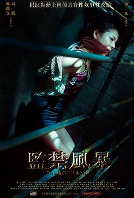 监禁风暴[电影解说]封面