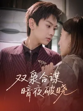 双枭合谋暗夜破晓在线观看