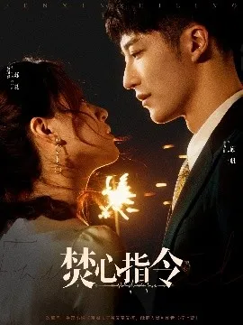 焚心指令在线观看