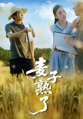 麦子熟了在线观看