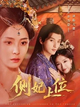侧妃上位在线观看