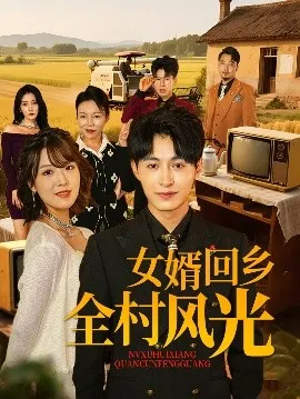 女婿回乡全村风光在线观看