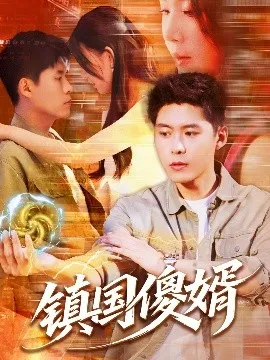 镇国傻婿在线观看