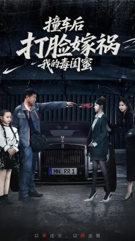 撞车后打脸嫁祸我的毒闺蜜在线观看