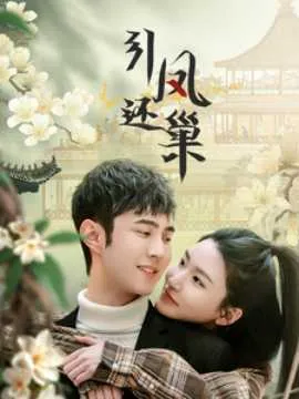 凤还巢在线观看