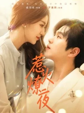 惹火燎夜在线观看