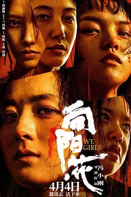 向阳·花在线观看